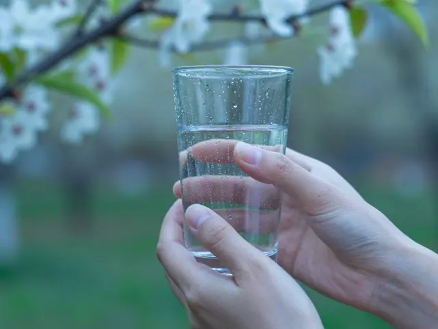 Jak rychle odstranit nikotin z těla: přirozené metody detoxikace