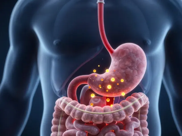 Jak se tělo zbavuje alkoholu: Proces metabolismu a tipy na rychlejší regeneraci