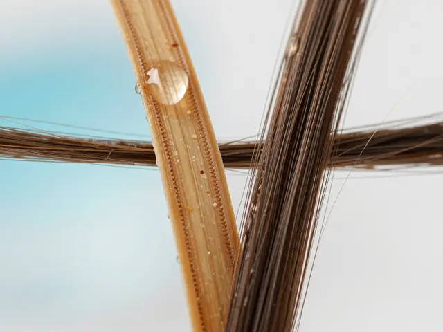 Co chybí vlasům? Průvodce pro lesk, sílu a zdravý růst